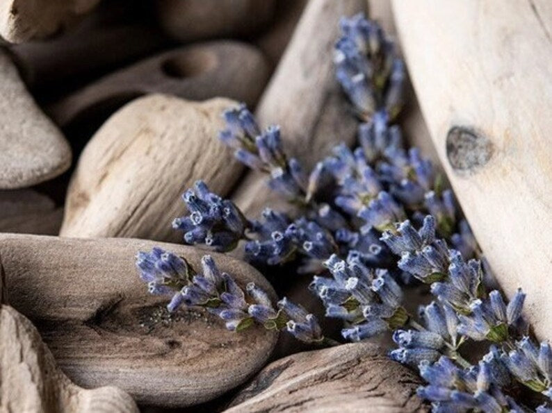 LAVENDER DRIFTWOOD