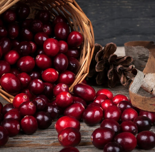 CRANBERRY BLISS